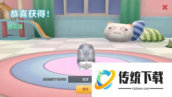 养了个猫怎么养宠物4