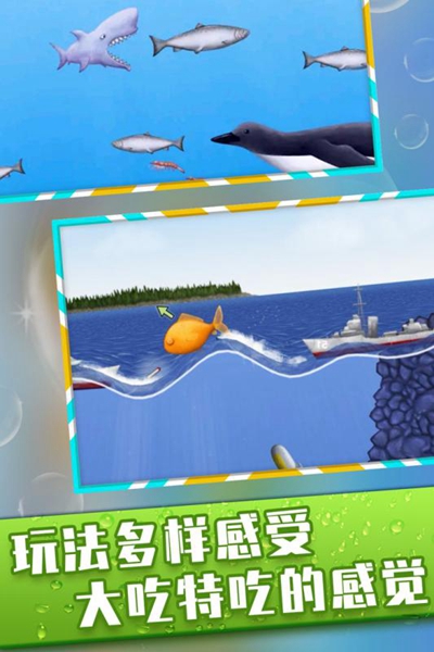 品尝深蓝2鲨鱼版