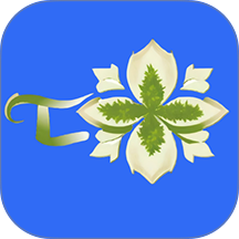 苔米云最新版