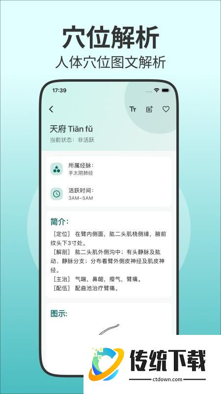 人体穴位图解官方版