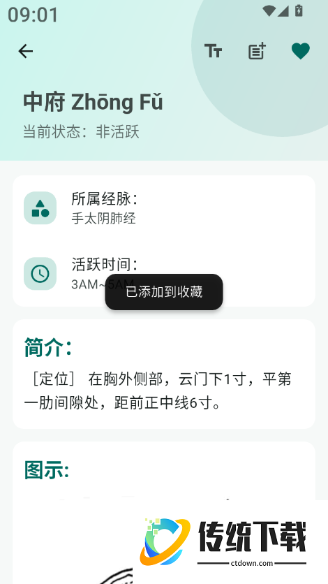 人体穴位图解官方版
