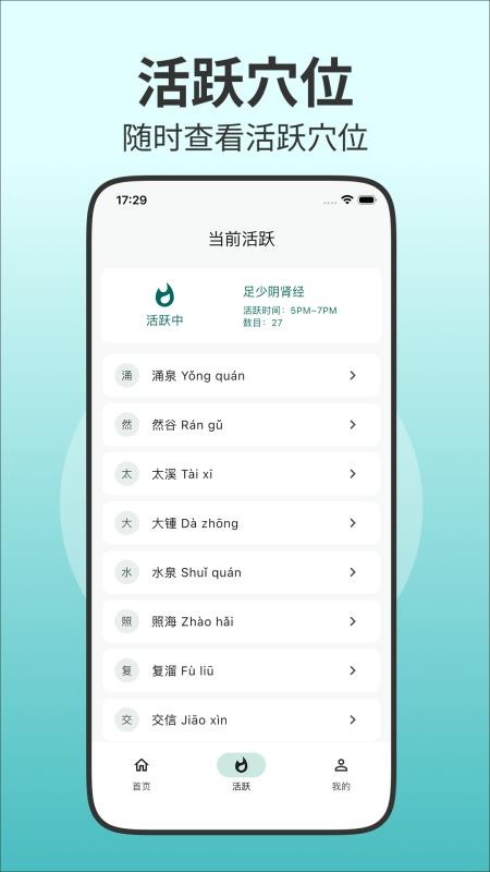 人体穴位图解官方版