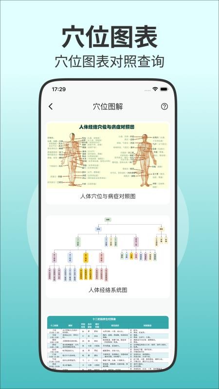人体穴位图解官方版