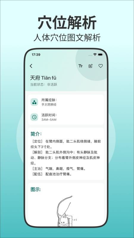 人体穴位图解官方版