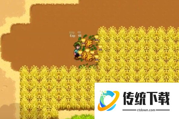 星露谷物语小麦种子全解析：种植时间、生长周期与收益特性