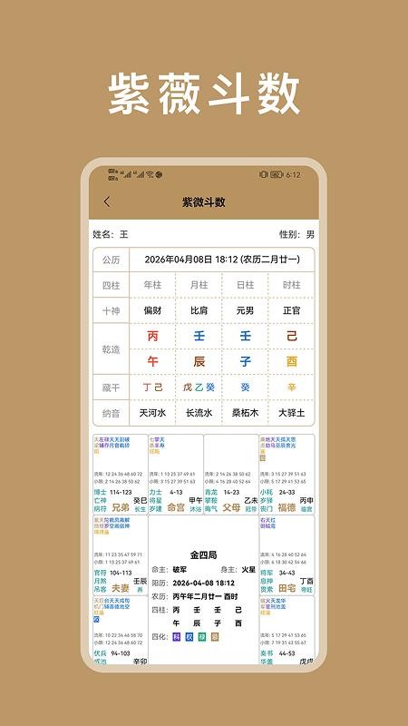 紫微斗数八字排盘官网版