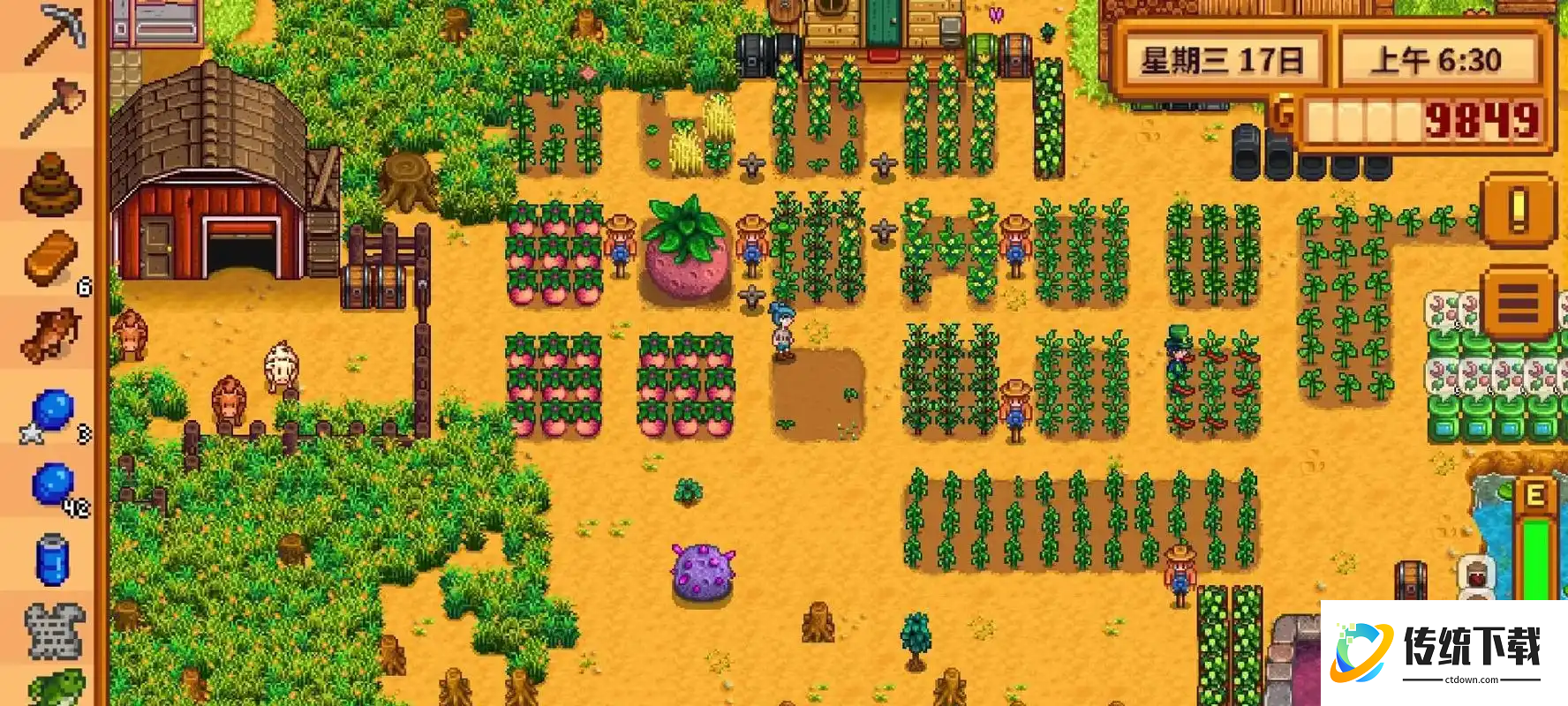 星露谷物语巨大作物种植攻略：如何种出巨型南瓜与花椰菜
