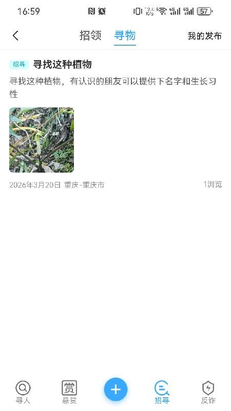 蓝星官网版