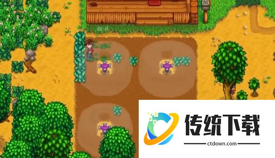 星露谷物语春季种甘蓝菜怎么样