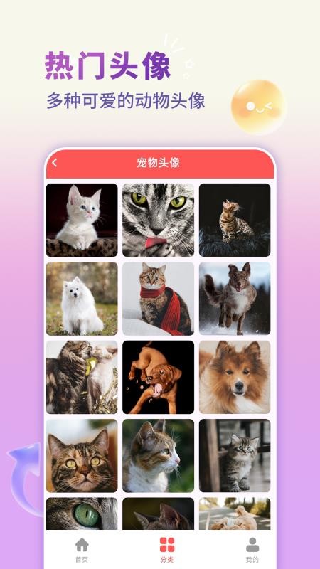 手机壁纸君免费版