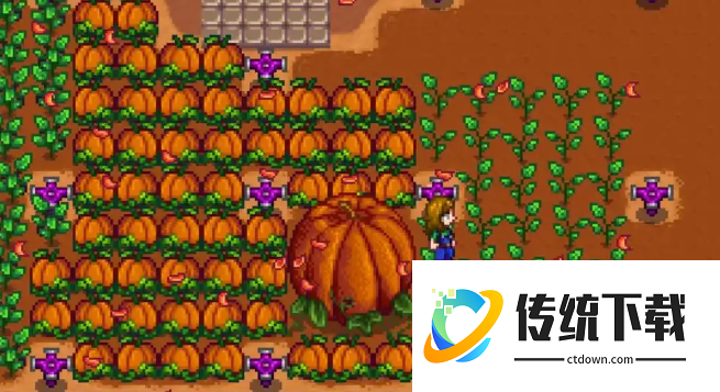 星露谷物语大型作物种植攻略：解锁巨型南瓜与花椰菜的高效技巧