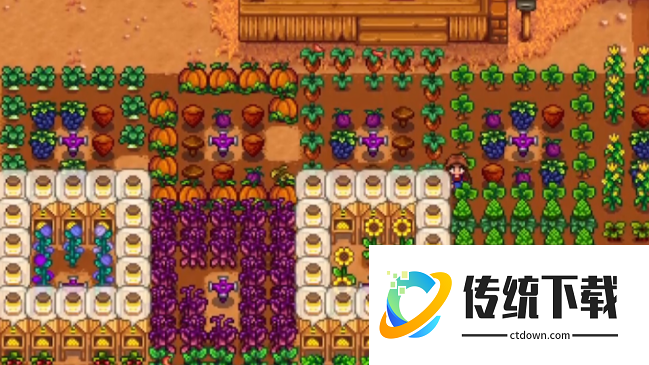 星露谷物语大型作物怎么种