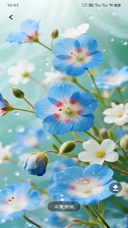 花花爱笔芯手机版