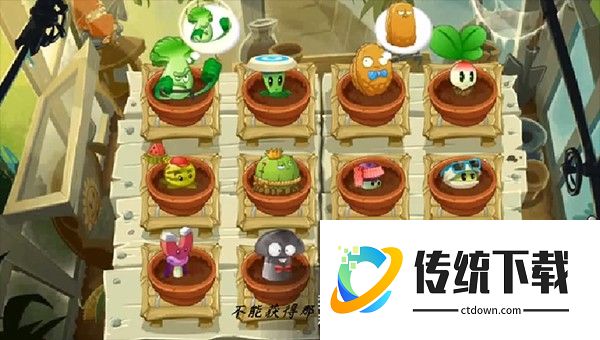 pvz全明星