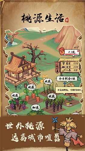 我的桃源生活