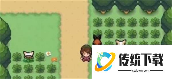 口袋妖怪剑盾