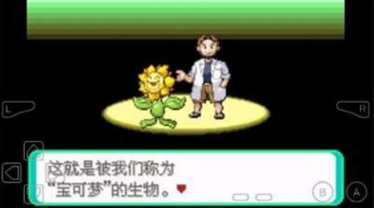 口袋妖怪黑白