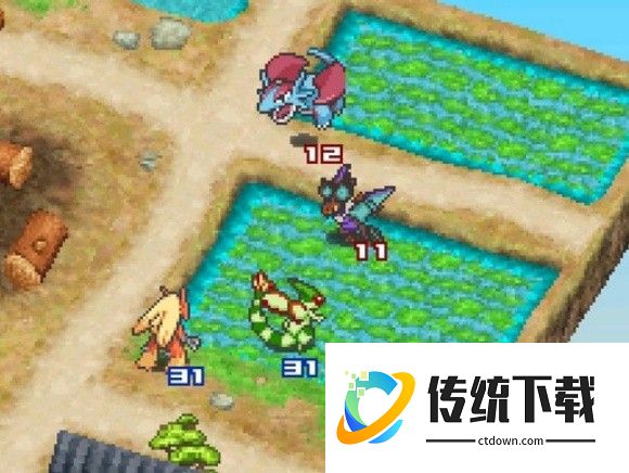 口袋妖怪白金光2汉化版