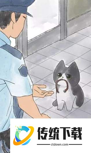 迷途猫