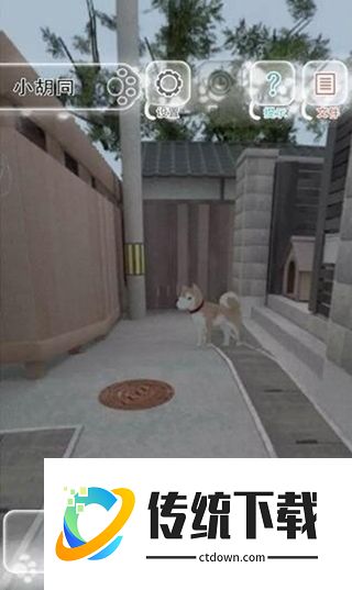 迷途猫