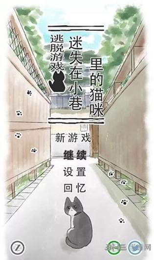 迷途猫