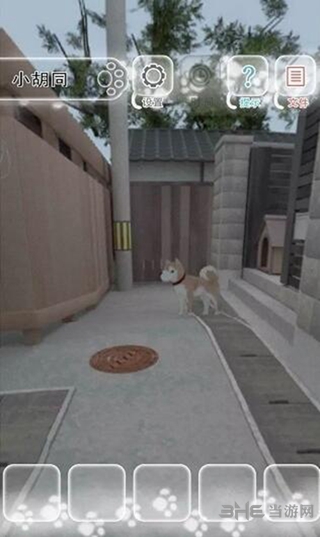 迷途猫
