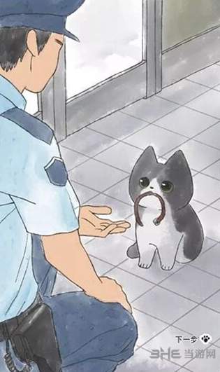 迷途猫
