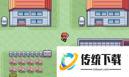 口袋妖怪心金
