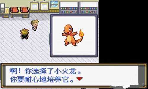 口袋妖怪心金