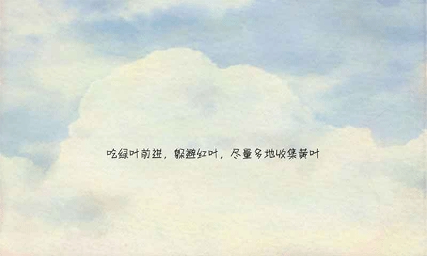 风子