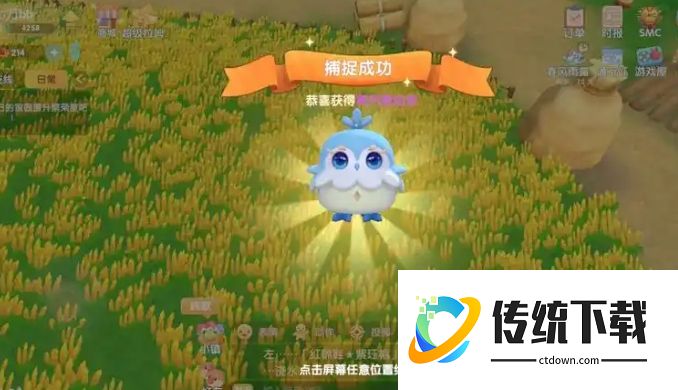 摩尔庄园灵兽喂养全攻略：食物选择与高效培养技巧