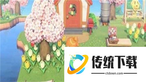 pocketcamp
