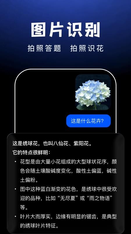 AI Agent助手免费版