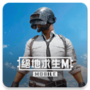 PUBG MOBILE台服