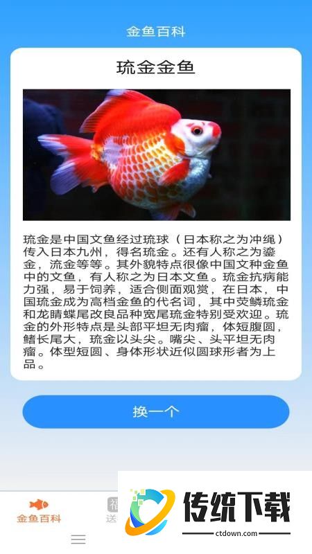 金鱼迎福最新版本