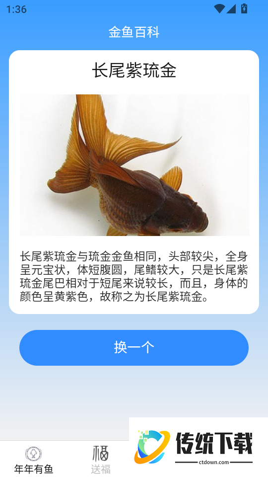金鱼迎福最新版本