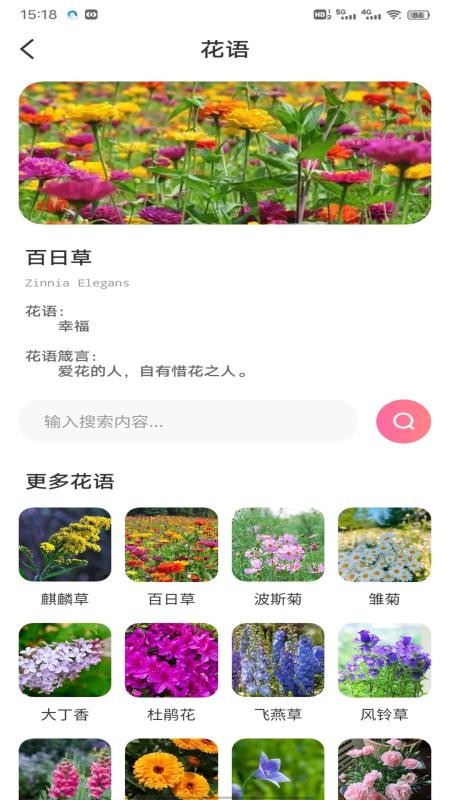 优料官网版