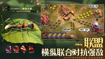 小小蚁国37手机版
