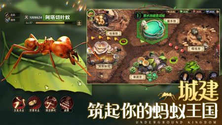 小小蚁国37手机版