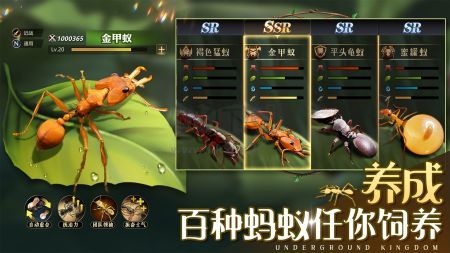 小小蚁国37手机版